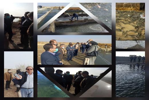 وجود ظرفیت آب‌های نامتعارف و لب‌شور برای تولید آبزیان در اصفهان