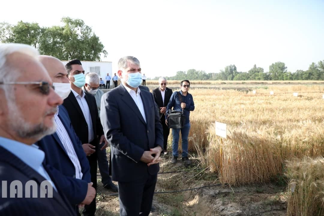 WhatsApp Image 2022-06-14 at 10.06.32 AM