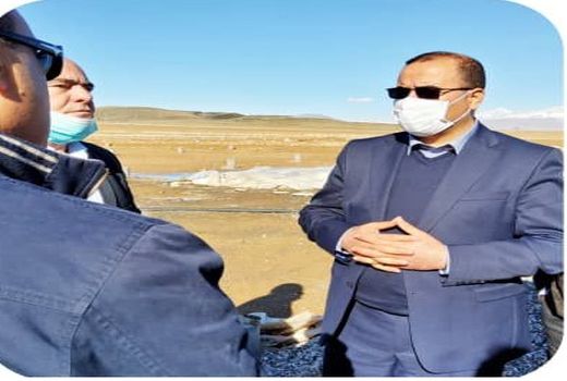 10برابر بازدهی بیشتر با کشت گلخانه ای