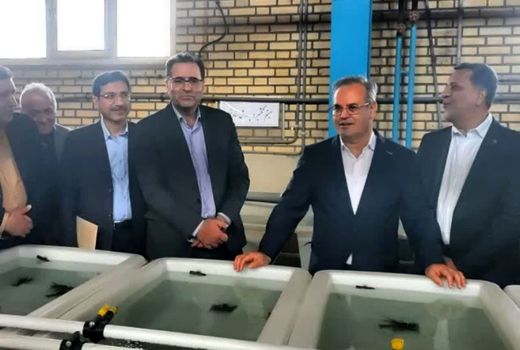 کاهش واردات و تامین امنیت غذایی افق آینده تحقیقات کشور است

