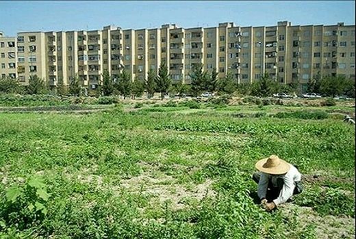 مجوز تغییر کاربری ۱۷ هکتار از اراضی کشاورزی کردستان صادر شد