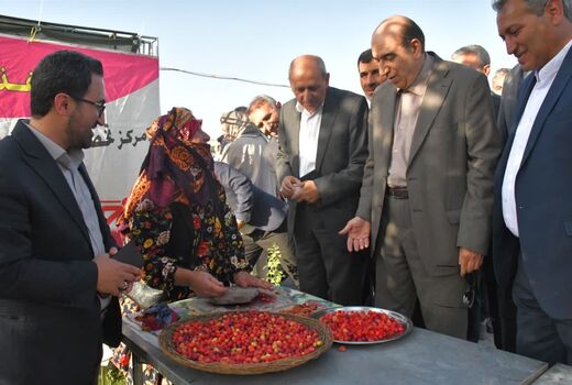 تبریز میزبان طعم‌های اصیل ارسباران ؛ نخستین جشنواره استانی «زغال‌اخته و سماق» در تبریز افتتاح شد