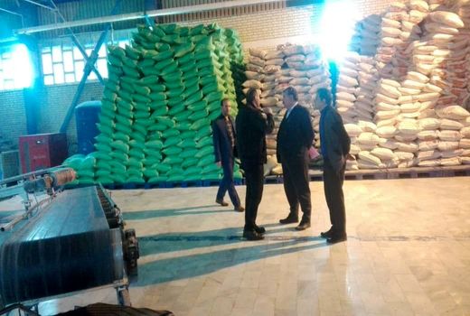 بازدید از ۱۰ کارخانه خوراک دام و طیور 