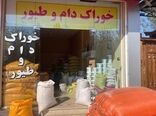 فروش ۲۶۳ هزار تنی خوراک دام و طیور در تیر ۱۴۰۵