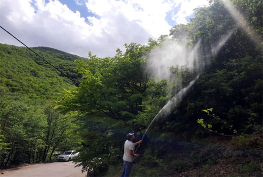 آفات،  بخشی از فون جنگل های ارسباران است