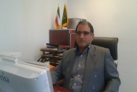 پیش‌بینی تولید ۲۲۸هزار تن ذرت دانه ای در استان کرمانشاه
