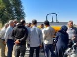 برداشت زودهنگام گندم، تلفات را افزایش می‌دهد