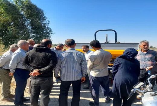 برداشت زودهنگام گندم، تلفات را افزایش می‌دهد
