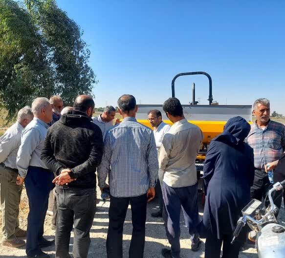 برداشت زودهنگام گندم، تلفات را افزایش می‌دهد