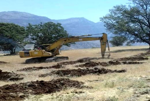 واگذاری 24هکتار از اراضی ملی به طرح توسعه باغات