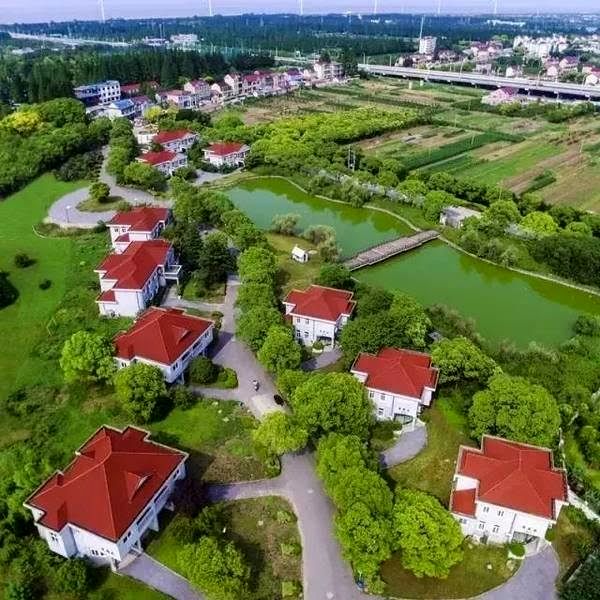 جزیره " Chongming" ، پایلوت کشاورزی پایدار می شود/پایلوت کشاورزی با مدل جهانی محیط زیست سازگار است