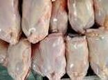 توزیع دو برابری گوشت مرغ گرم نسبت به روز مشابه در سال گذشته در استان زنجان آغاز شد  