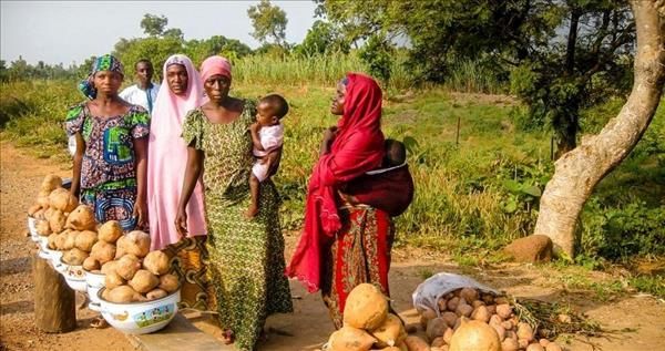 نبود اعتبار و باورهای نادرست محدودیت زنان کشاورزی را به‌دنبال داشته است/ کار بیشتر زنان نپالی در برابر نابرابری جنسیتی و محدودیت دسترسی به منابع