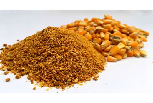 توزیع 7200 تن نهاده بین دامداران آملی