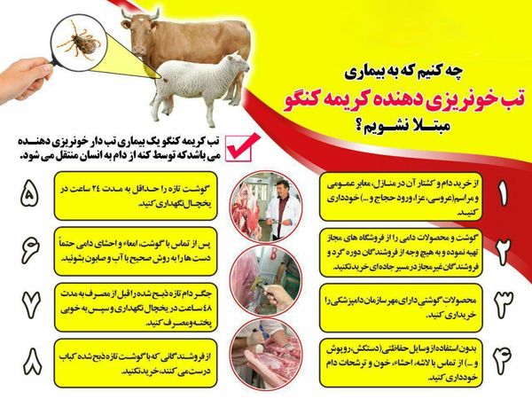 پیشگیری از تب کریمه کنگو / اینفوگرافی