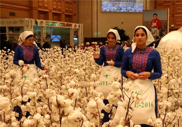 ششمین نمایشگاه بین‌المللی پنبه ترکمنستان آغاز به کار کرد