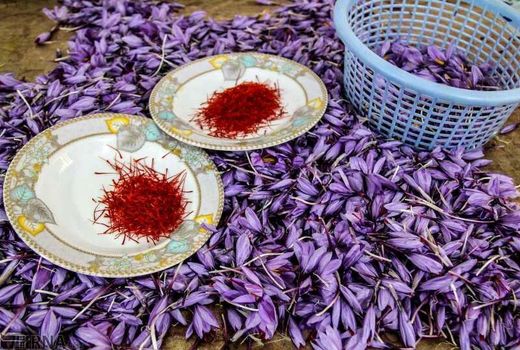 صادرات 75 درصد زعفران ایران به آن سوی مرزها