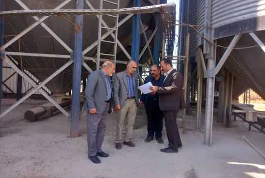 افزایش تولید کنسانتره دامی در آذربایجان‌غربی