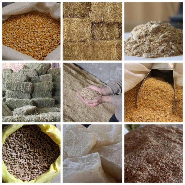 قیمت‌های جدید خوراک دام و طیور در سامانه بازارگاه اعلام شد