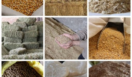 قیمت‌های جدید خوراک دام و طیور در سامانه بازارگاه اعلام شد