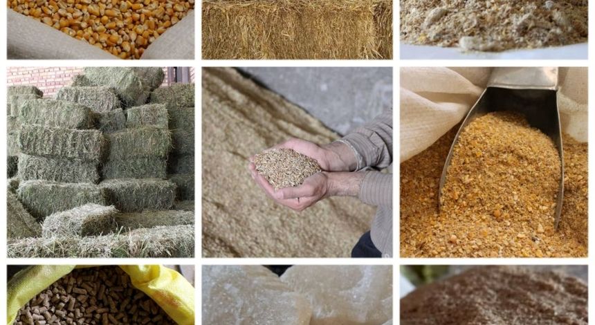 قیمت‌های جدید خوراک دام و طیور در سامانه بازارگاه اعلام شد