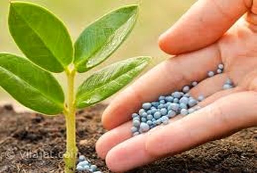 دهلران ۲۰ درصد کود شیمیایی کشور را تامین می کند