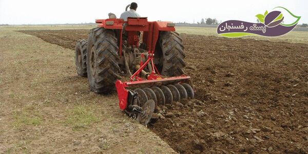 افزایش عملکرد گندم در گرو انتخاب زمان مناسب کاشت گندم