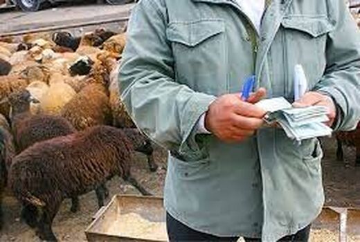 باز شدن پای دلال ها برای خرید دام با قیمت ارزان