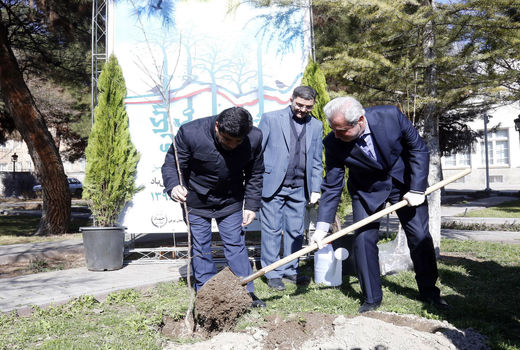 غرس یک اصله نهال توسط استاندار آذربایجان شرقی به مناسبت روز درختکاری