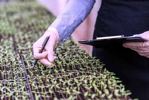 ورود شرکت‌های دانش‌بنیان در تولید محصولات فناورانه