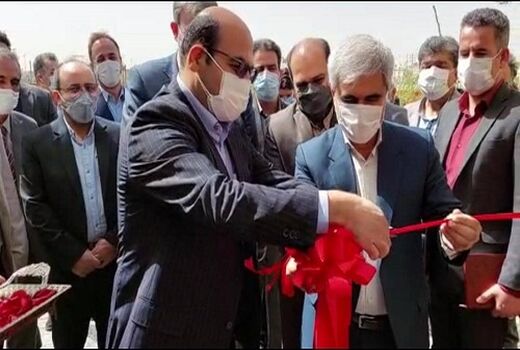 دامپزشکان در تامین سلامت غذایی نقش اساسی دارند
