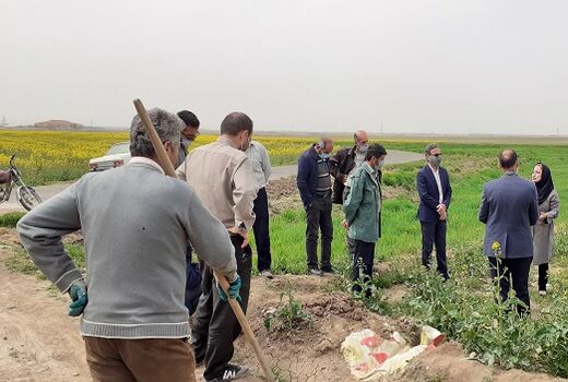 کارگاه آموزش تغذیه محصولات کشاورزی در استان قزوین برگزار شد
