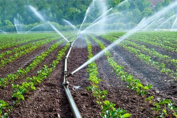 تجهیز 27 هزار هکتار از اراضی استان یزد به سامانه های نوین آبیاری