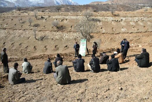 آموزش نکات فنی کشت نهال به بهره برداران روستای ممسنی