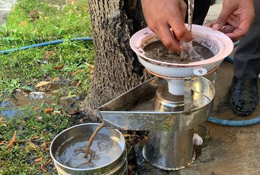 اجرای طرح ردیابی «نماتد قرنطینه سیست طلایی سیب‌زمینی» در شهرستان اسکو