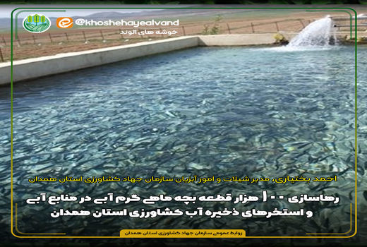 رهاسازی ۱۰۰ هزار قطعه بچه ماهی گرم آبی در همدان