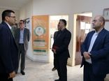 بازدید مشاور وزیر جهاد کشاورزی از مرکز خدمات کشاورزی پیریوسفان شهرستان البرز