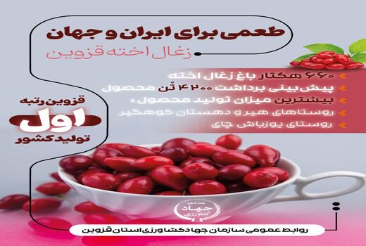  اینفوگرافی | طمعی برای ایران و جهان ، زغال اخته قزوین 