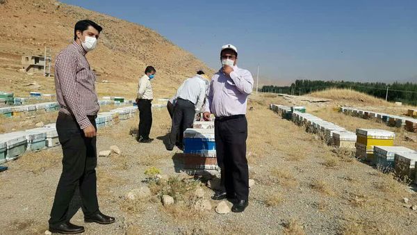 بازدید کارگروه تخصصی یاوران تولید از زنبورستانها