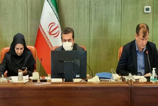 نشست وبیناری رفع مشکل صادرات فلفل دلمه ای ایران به روسیه برگزار شد