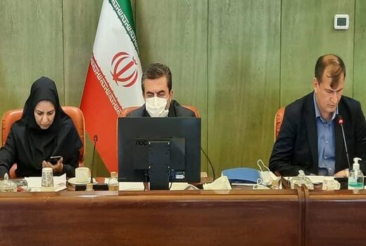 نشست وبیناری رفع مشکل صادرات فلفل دلمه ای ایران به روسیه برگزار شد