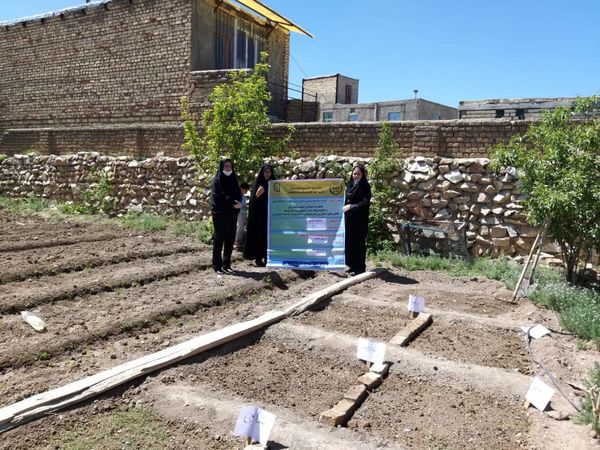 کسب مقام برتر سازمان جهاد کشاورزی استان لرستان در زمینه آموزش