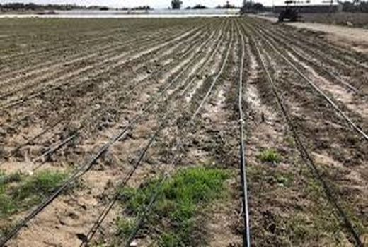 صرفه‌جویی با تجهیز اراضی به آبیاری نوین 