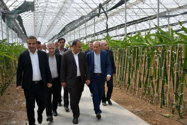 بازدید رئیس جهاد کشاورزی آذربایجان شرقی از پروژه‌های سرمایه‌گذاری بخش کشاورزی در جلفا و مرند