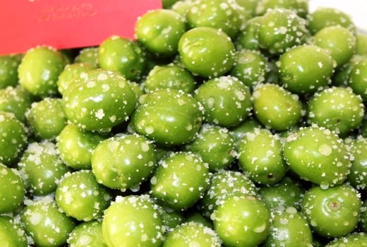 برداشت گوجه سبز از باغات شهرستان سرخه