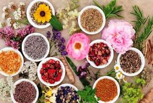 کِشت ۷۵ درصد از گونه‌های گیاهان دارویی ایران در استان اصفهان