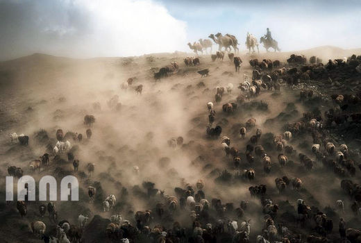 گله‌داری در شمال چین