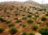 تکمیل طرح‌های توسعه باغات چهارمحال و بختیاری نیازمند تسهیلات