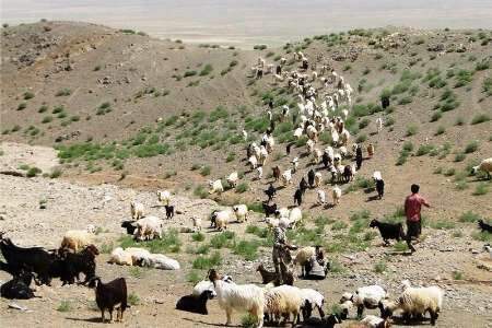 سیل به 20 ایل راه عشایر سمنان خسارت زد