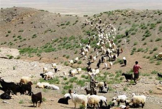 سیل به 20 ایل راه عشایر سمنان خسارت زد